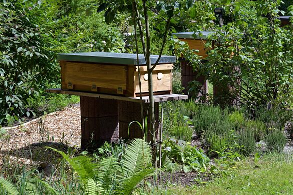 Bienenkorb in einem naturnah gestalteten Firmengarten