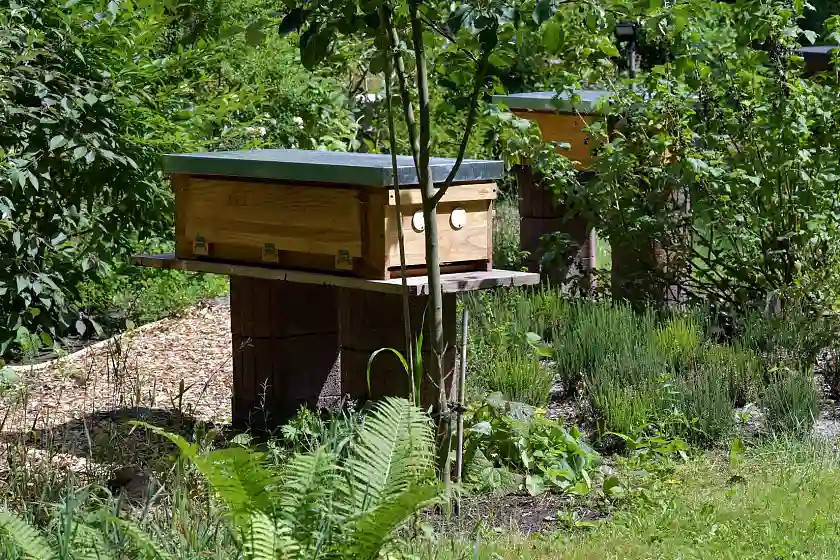 Bienenbeute in einem naturnah gestalteten Firmengarten
