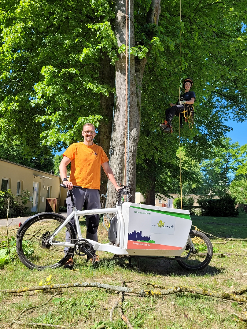 Steffen Lüssing und sein Team im Baumschnitt-Einsatz auf dem Gelände der Egestorff-Stiftung, die wie Hanseatic Treework ebenfalls Mitglied in der Partnerschaft Umwelt Unternehmen ist.