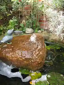 Teich angelegt von der Richard Homann GmbH & Co. KG