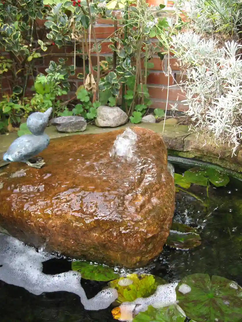 Teich angelegt von der Richard Homann GmbH & Co. KG