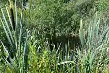 Bild eines naturnahen Firmengeländes