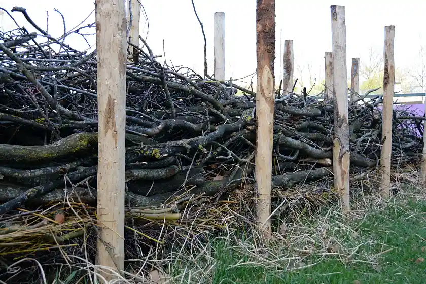 Aufgeschichtete Äste und Zweige bilden eine Benjeshecke zwischen Holzpfählen auf dem Außengelände von Albright Deutschland. Die Hecke dient als naturnaher Lebensraum für Tiere und fördert die Biodiversität.