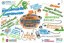 Bild einer grafischen Zusammenfassung