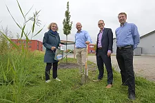 Im Rahmen der Bremerhavener Baumpflanz-Challenge wurde auf dem Firmengelände auch eine Hainbuche gepflanzt. V. l. n. r.: Annette Schimmel (BIS Bremerhaven), Dr. Florian Siedenburg (ECO°COOL), Staatsrat Jan Fries (Die Senatorin für Umwelt, Klima und Wissenschaft), Torsten Stadler (Geschäftsstelle Umwelt Unternehmen).
