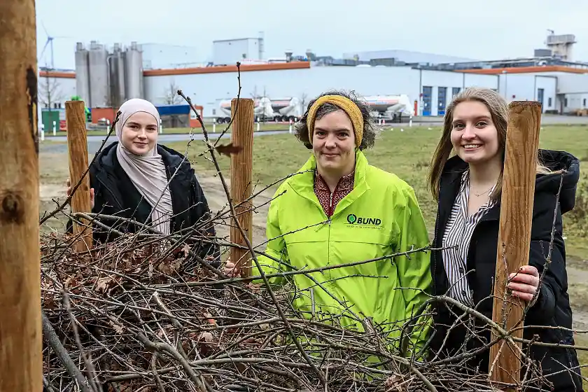 Die Auszubildenden Patricia Esen (links) und Jessica Garbade (rechts) mit Mara Roß vom BUND vor der Totholzhecke auf dem Firmengelände von saturn petcare.