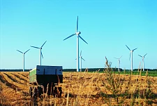 Getreidefeld mit Windkraftanlagen der Energiekontor AG