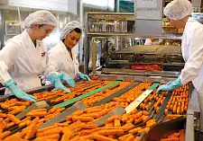 Das Rütteldeck in der Frozen Fish International GmbH