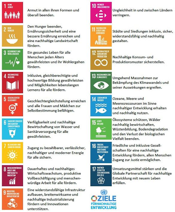 Sustainable Development Goals - Umwelt Unternehmen