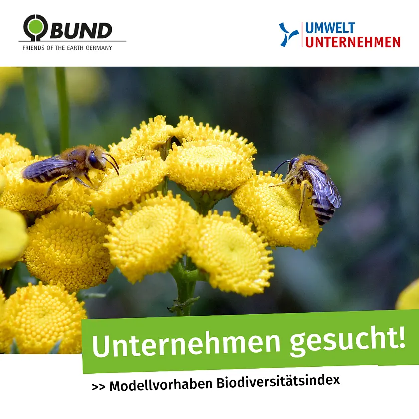 Bild mit Teilnahmeaufruf