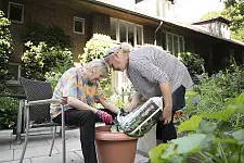 Foto einer Pflanzaktion