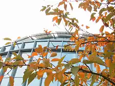 Außenfassade des Firmengebäudes der DD Die Denkfabrik Forschungs und Entwicklungs GmbH