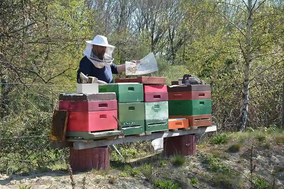 Bienenv&ouml;lker auf dem Gel&auml;nde des UNTERWEGS - DAV Kletterzentrum Bremen