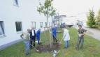 Baumpflanzaktion bei der Hella Fahrzeugkomponenten GmbH