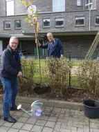 Baumpflanzaktion bei der im-jaich oHG