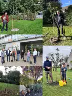 Collage zur Baumpflanzaktion bei der ArcelorMittal Bremen GmbH