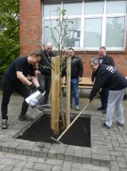 Baumpflanzaktion bei der BHS Spedition & Logistik GmbH