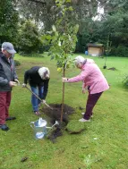 Baumpflanzaktion bei der Bremer Heimstiftung - Stiftungsdorf Rönnebeck